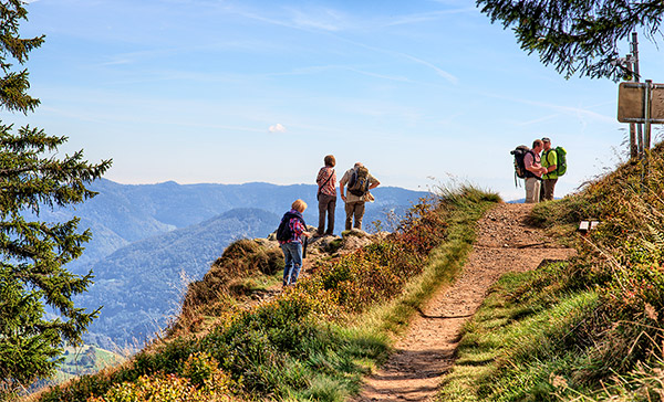 Wanderpfad zum Gipfel des Belchens